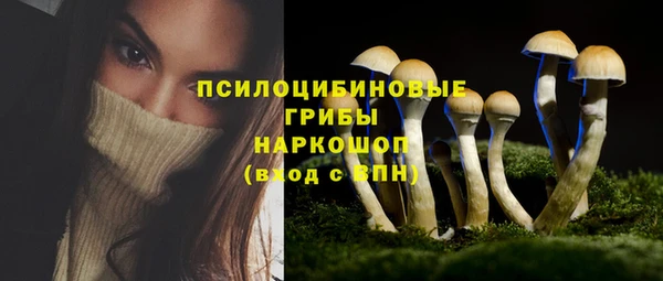 дживик Богданович