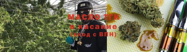mdpv Богородск