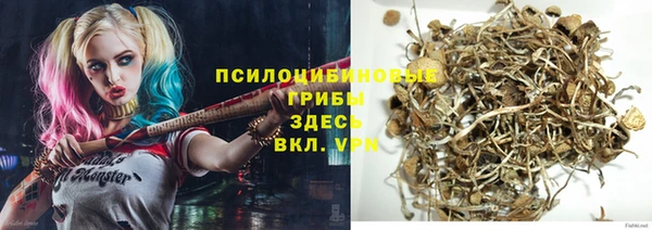 дживик Богданович